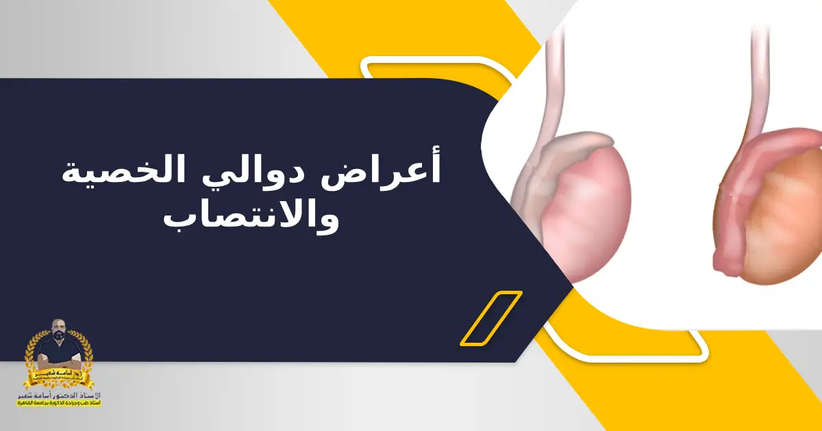 أعراض دوالي الخصية والانتصاب
