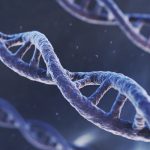 Genetic Testing in Azoospermia