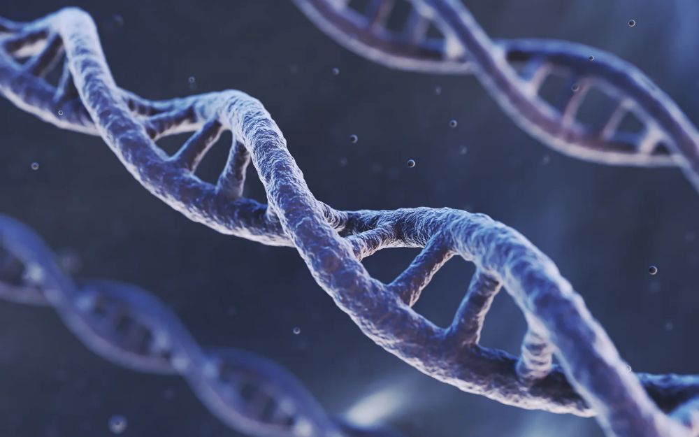 Genetic Testing in Azoospermia