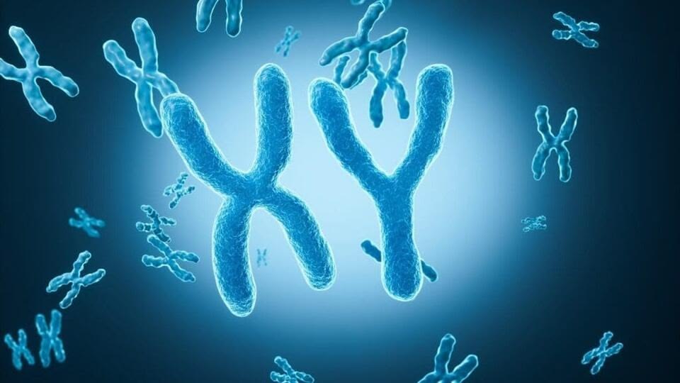 Azoospermia