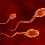 Blood in Semen