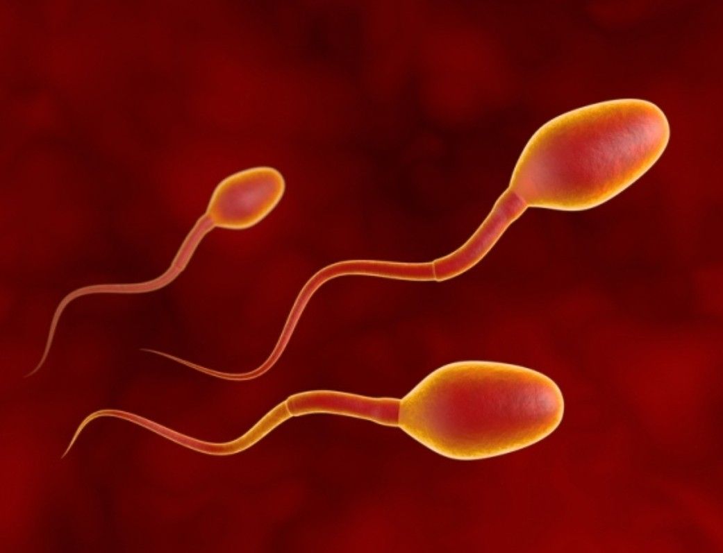 Blood in Semen? Learn More About Hematospermia, Its Causes, Diagnosis, and Treatment